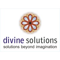 Divine Solutions logo - Similar company to Solvech