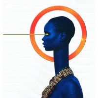 Ai4afrika logo - Similar company to Hosted In Africa