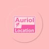 Auriol location logo - Similar company to Fondation Mougnan