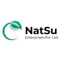 NatSu Enterprises logo - Similar company to Iterative Ventures