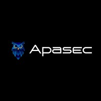 APASEC CONSULTING logo - Similar company to Stellenwert Gmbh & Co. Kg