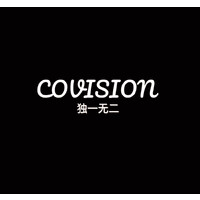 CoVision logo - Similar company to 180 Degrees Consulting At Uc Santa Cruz