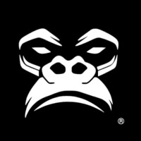 GORILA MX logo - Similar company to Gorila Apps