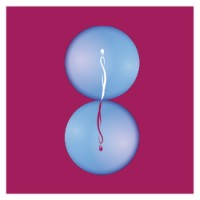 Equilibrium - Christel Mesey