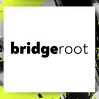 Bridgeroot Unp Lda. logo - Similar company to Brightside Digital Io