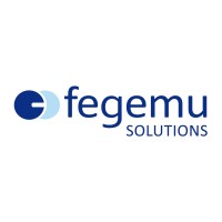 Fegemu Solutions logo - Similar company to Fegemu Group
