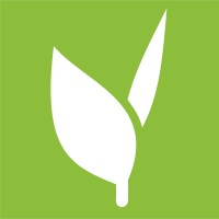 Leafsprout logo - Similar company to Cedara Software