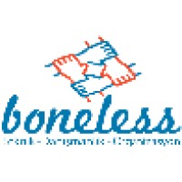 Boneless Teknik Danismanlik -Organizasyon logo - Similar company to Enforma Technologies