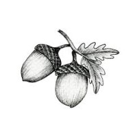 Acorn Investments Re