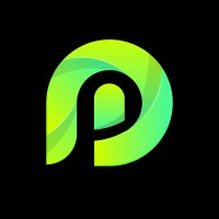 Prime Digi Solutions logo - Similar company to Edtech Solutions Pakistan