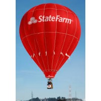 State Farm Insurance Inc logo - Similar company to Ypologist Llc