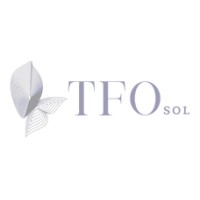 TFOsol logo - Similar company to Intellectle