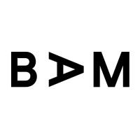 BAM Consultancy logo - Similar company to Fashency