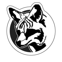 Fox Caliber, A Professional Accountancy Corporation logo - Similar company to Linka & Associates Cpa