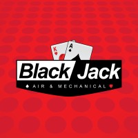 Black Jack Air and Mechanical logo - Similar company to Tekplan Solutions Florida