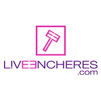 LIVEENCHERES logo - Similar company to Net4Up