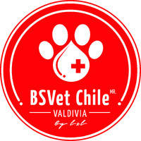BSVet Chile logo - Similar company to Fruit Capitals