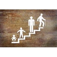 Trabalhos Voluntários logo - Similar company to Oportunidades, Estágios E Trabalhos Voluntários