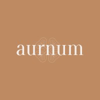 Aurnum logo - Similar company to Hangerloop
