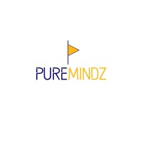Pure Mindz Technologies logo - Similar company to 51Pyramids