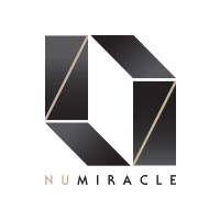 Numiracle Group logo - Similar company to Cod Group