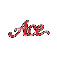 Ace Mobile Detailing