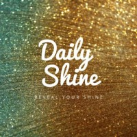 Daily Shine Jewelry logo - Similar company to Dayspring Technology, Inc.