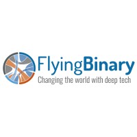 Flyingbinary Ltd