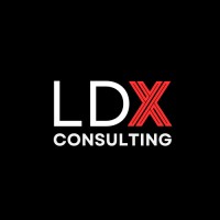 LDX Consulting logo - Similar company to Train 2 Gain Group