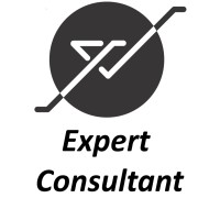 YD Expert Consultant LLC logo - Similar company to Impact Power Technologies