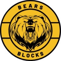 BearsBlock logo - Similar company to Gresham Llp