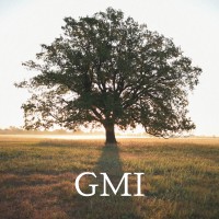 GMI - Gothenburg Management Institute logo - Similar company to Wesplaining Studios
