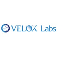Velox Labs logo - Similar company to Velox Labs