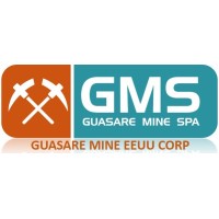 Guasare Mine SPA logo - Similar company to Proex Consult