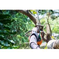 Big D's Des Plaines Tree Service logo - Similar company to Precise Tree Care, Inc.