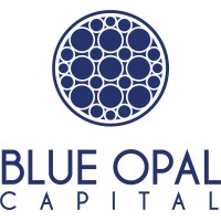 Blue Opal Capital logo - Similar company to Coffeedocs Co.