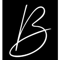 BCH Consulting logo - Similar company to Bch Consulting Org