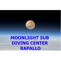 Moonlight Sub Diving Center Rapallo logo - Similar company to Nassa Rapallo Aps