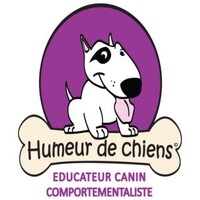 Humeur De Chiens - Comportement Canin