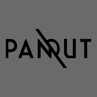 PANOUT logo - Similar company to Performatory