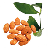 Solina Sahel Agri-Sol Group logo - Similar company to Adalidda