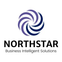NorthStar Business Intelligent Solutions logo - Similar company to Sihee-It