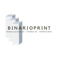 Binarioprint logo - Similar company to Gamberini Group