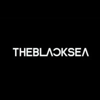 THEBLACKSEA logo - Similar company to Mode Music Studios
