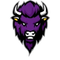 Capital City Bison