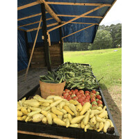 Jess White Produce