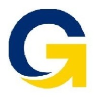 G-Force Solutions logo - Similar company to Seewe Technologies Pvt. Ltd.