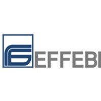 Effebi S.p.A. logo - Similar company to Effebi Spa