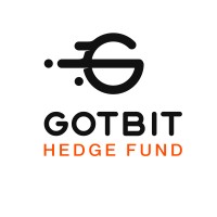 GOTBIT Hedge Fund logo - Similar company to Tripleone