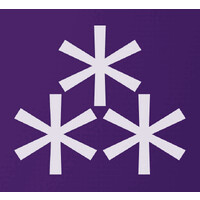 Wellesley Social logo - Similar company to Wave.Video. Video Editing & Live Streaming